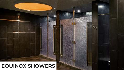 Does Vasa Fitness Have Showers? And Why Do We Even Need Them in a World of Instant Gratification?