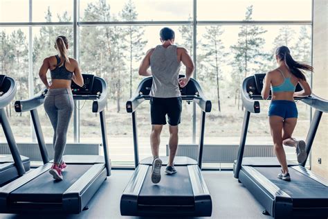 How Many Guests Can You Bring to Crunch Fitness? And Why Does the Treadmill Feel Like a Time Machine?