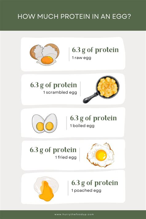 How Much Protein in a Fried Egg and Why It Might Be the Key to Unlocking Your Inner Unicorn