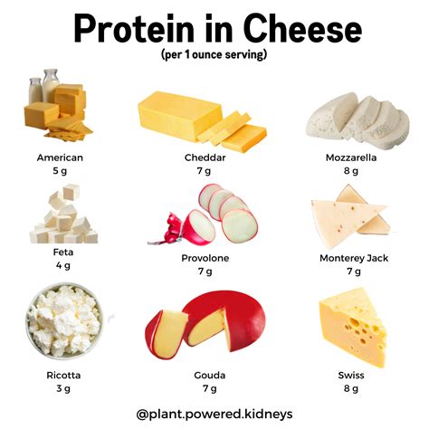 How Much Protein in Mozzarella Cheese: A Dive into Dairy and Beyond