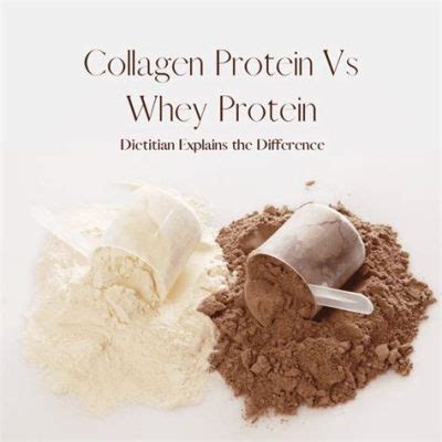 Is Premier Protein Powder Good? Exploring the Layers of Nutritional Myths and Realities