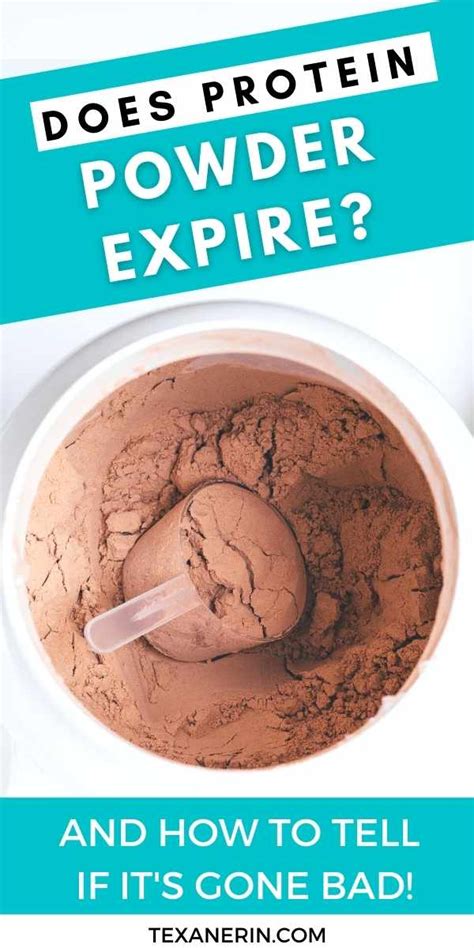 What Does Expired Protein Powder Look Like: A Journey Through Texture, Color, and Smell